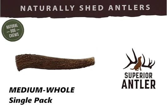 1-Medium Elk Antler –Single Pack. All Natural Premium Grade A. Antler Chew. L=5-8” Naturally shed, Hand-Picked, and Made i...