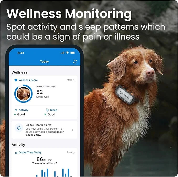 Tractive XL GPS Dog Tracker (50 lbs+) | Real-time Pet Location Tracker | Health & Wellness Alerts | Virtual Fence for Dogs...