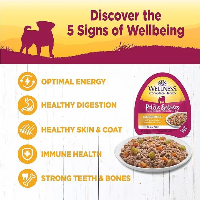 Wellness Natural Pet Food Petite Entrees Casserole Grain Free Natural Wet Small Breed Dog Food, Tender Chicken, Green Bean...
