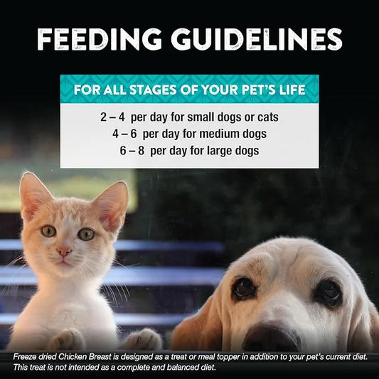 Northwest Naturals Raw Rewards Freeze-Dried Chicken Breast Treats for Dogs and Cats - Bite-Sized Pieces - Healthy, 1 Ingre...