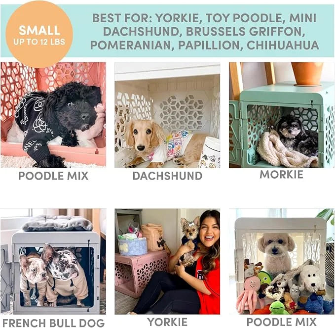 KindTail PAWD Collapsible Puppy and Dog Crate + Washable Bed - Stylish Pet Kennel with Comfortable Pad - Safe Indoor Set -...