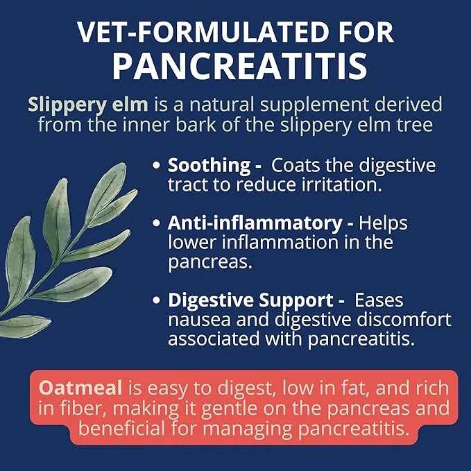 Under the Weather Bland Diet for Dogs | Easy to Digest Stomach Support for Sick Dogs | Contains Electrolytes, All Natural ...