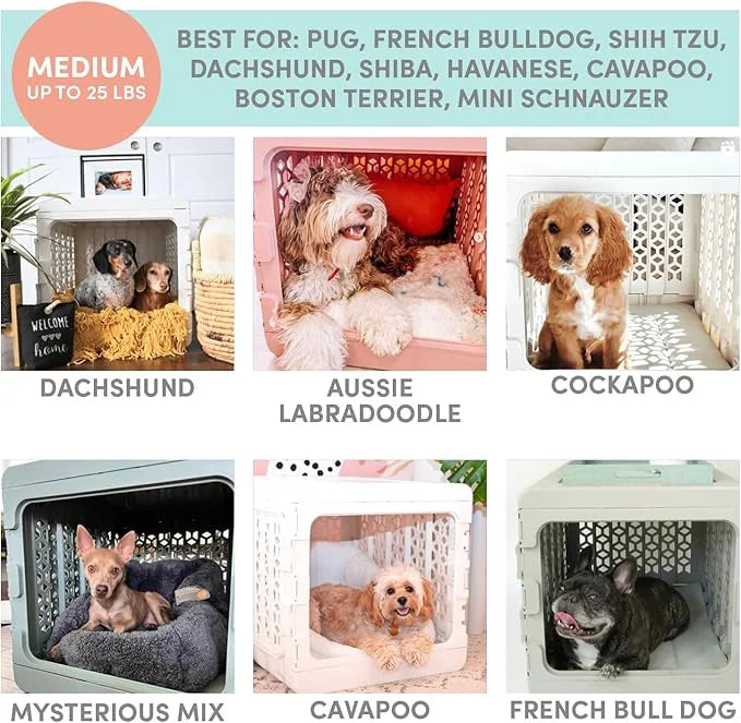 KindTail PAWD Collapsible Puppy and Dog Crate + Washable Bed - Stylish Pet Kennel with Comfortable Pad - Safe Indoor Set -...