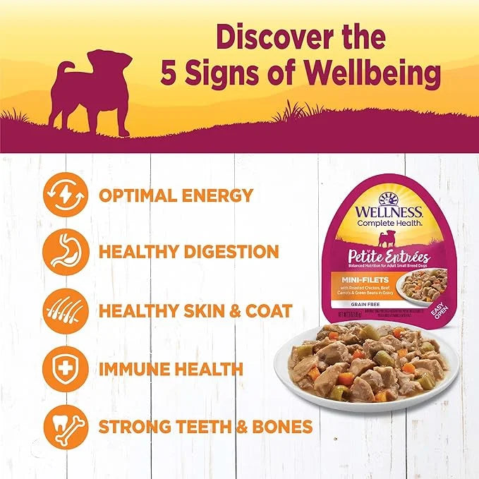 Wellness Petite Entrees Mini Fillets Natural Wet Small Breed Dog Food, Roasted Chicken, Beef, Carrots & Green Beans, 3-Oun...