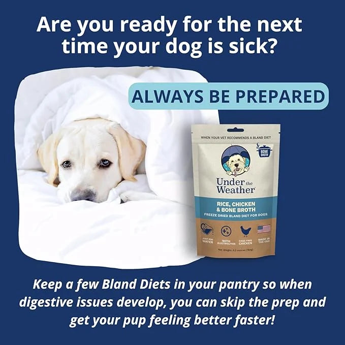Under the Weather Bland Diet for Dogs | Easy to Digest for Sick Dogs |Always Be Ready| Contains Electrolytes - All Natural...
