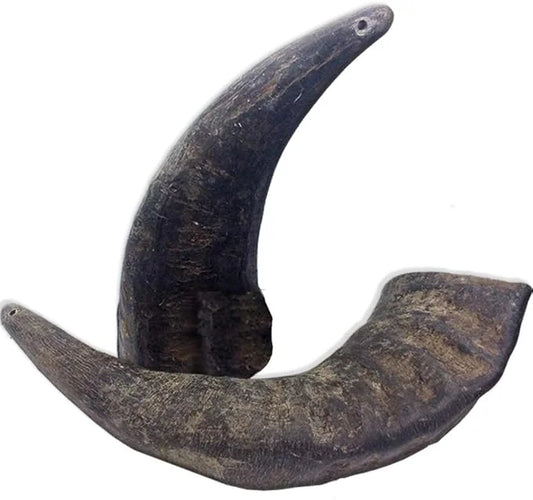 2 Pack of Buffalo Hornz Medium Long Lasting 100% Natural Water Buffalo Horn Dog Chews - Product Image
