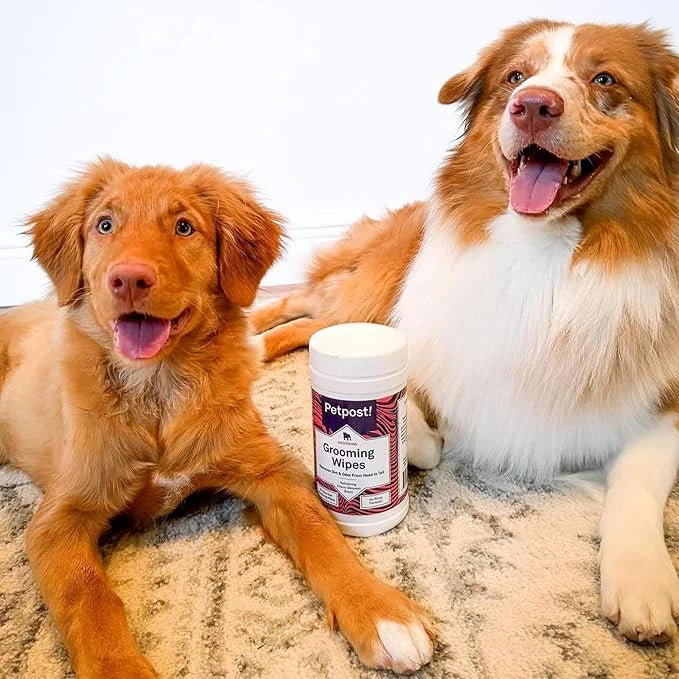 Petpost | Grooming Wipes for Dogs - Large, Deodorizing Wipes with Cherry Blossom Scent - 70 Ultra Soft Cotton Pads in Clea...