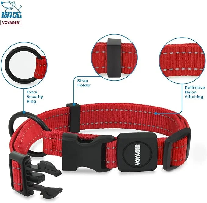 Best Pet Supplies Reflective Dog Collar with Adjustable Length, Heavy-Duty Buckle, and Strong Leash D-Ring, Training, Walk...