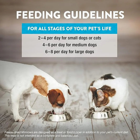 Northwest Naturals Raw Rewards Freeze-Dried Minnow Treats for Dogs and Cats - Bite-Sized Pieces - Healthy, 1 Ingredient, H...
