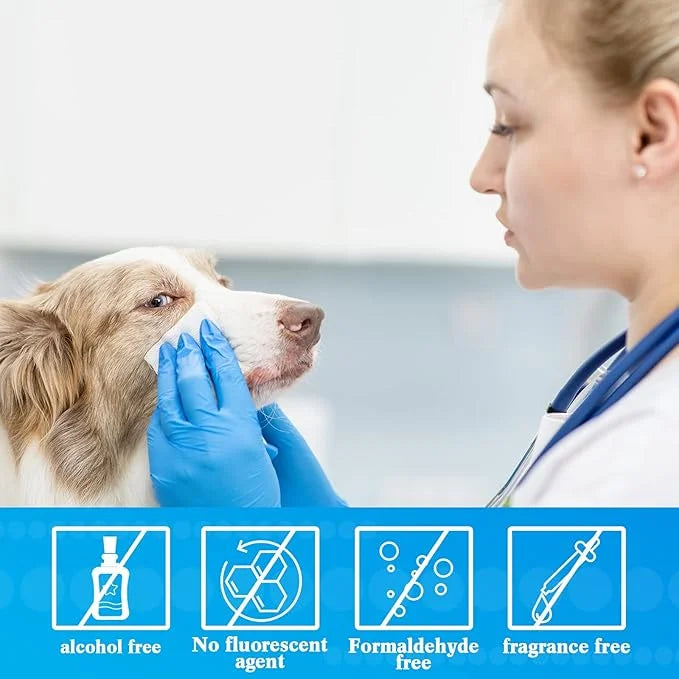 Treela 10 Packs of 800 Dog Wipes Pet Wipes Cat Grooming Supplies for Paws, Butt, Ear, Skin, Eye, Body Cleaning Bath Stain ...