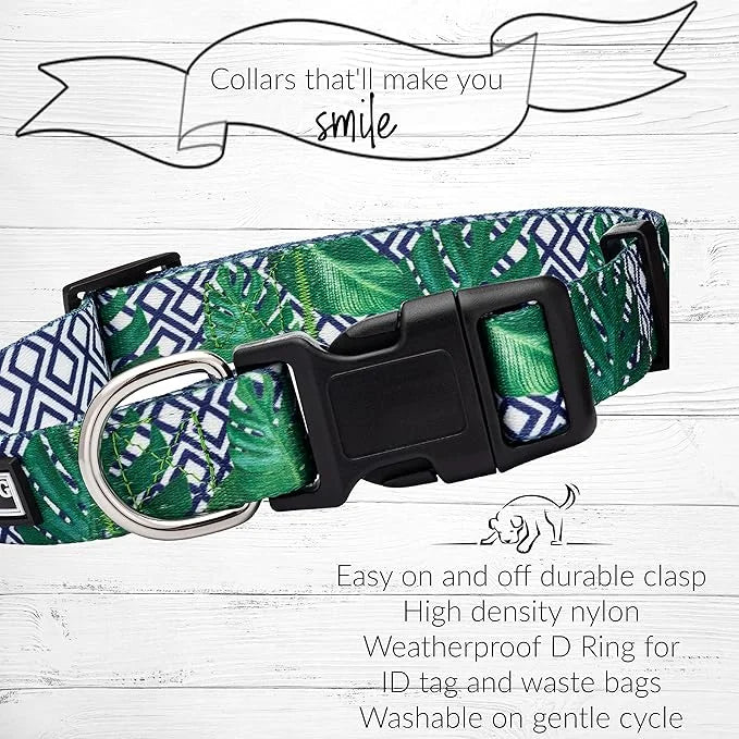 Lucky Love Dog Collar, Beautiful & Vivid Pattern Medium Boy Dog Collars, Easy On & Off Clasp Accessory (Blue Laguna, M) - ...