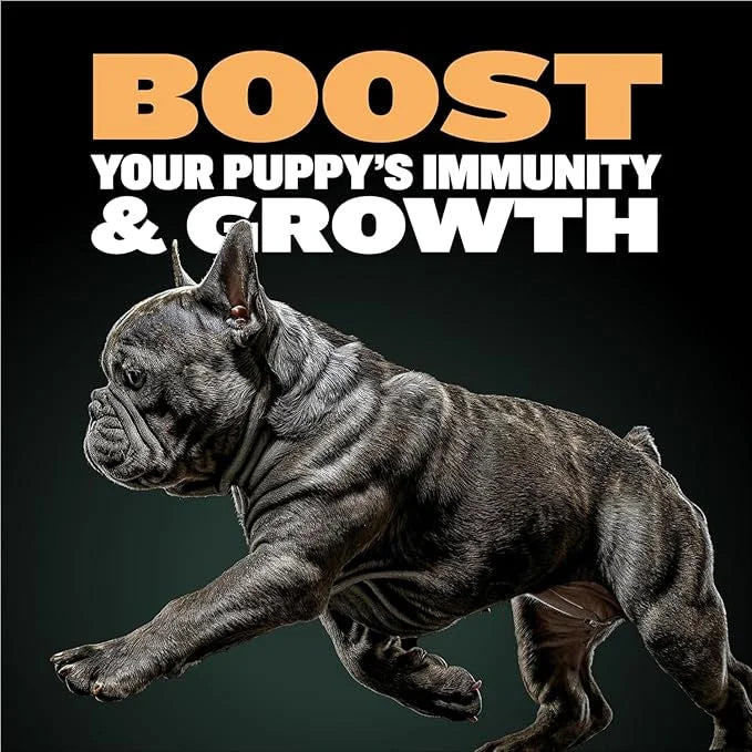 Bully Max Wet Puppy Food - Instant Fresh Dehydrated High Protein Soft Dog Food with Chicken - Healthy Growth for Small & L...