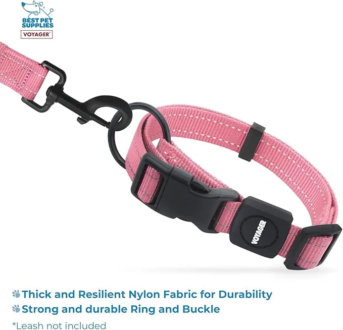 Best Pet Supplies Reflective Dog Collar with Adjustable Length, Heavy-Duty Buckle, and Strong Leash D-Ring, Training, Walk...