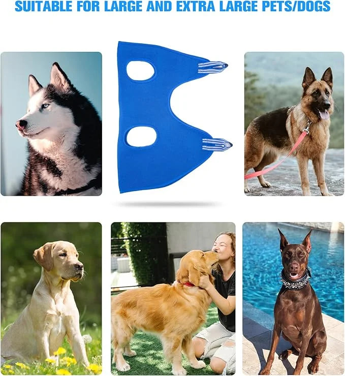 10 in 1 Dog Pet Grooming Hammock Harness with Nail Clippers/Trimmer, Nail File,Dog Nail Hammock, Dog Grooming Sling for Na...