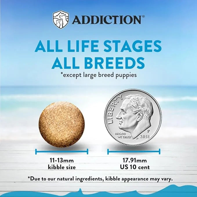 Addiction Salmon Bleu Grain-Free Dry Dog Food Formula - New Zealand King Salmon, Probiotic-Rich Fruits & Vegetables, Fish ...