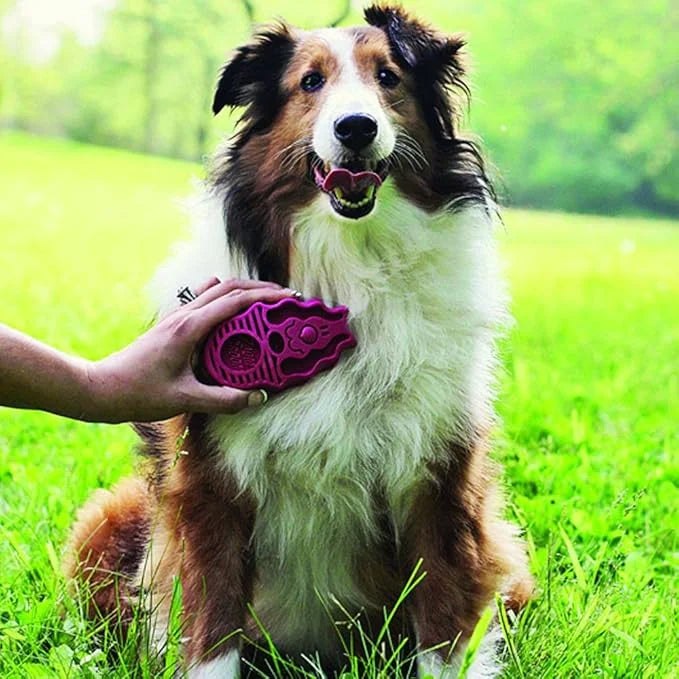 KONG Zoom Groom Multi-Use Dog Brush Pink - Product Image