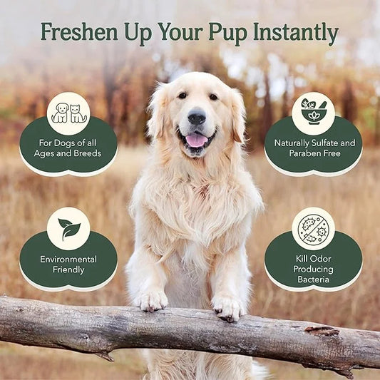 Dog Deodorizer Spray, Pet Odor Eliminator Dog Deodorizing Spray – Odor Neutralizing & Coat Conditioning Mist with Pure Ing...