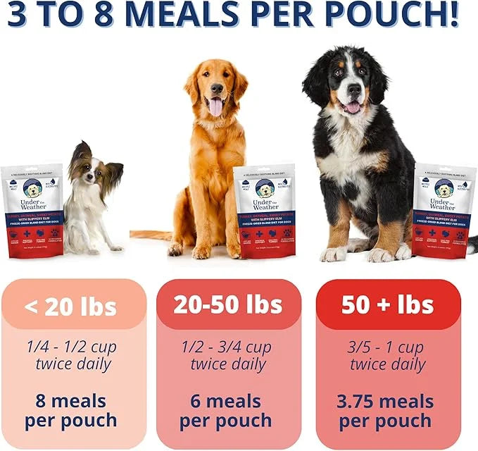 Under the Weather Bland Diet for Dogs | Easy to Digest Stomach Support for Sick Dogs | Contains Electrolytes, All Natural ...
