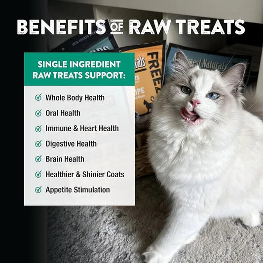 Northwest Naturals Raw Rewards Freeze-Dried Green Lipped Mussel Treats for Dogs and Cats - Bite-Sized Pieces - Healthy, 1 ...
