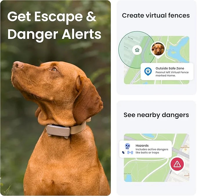 Tractive GPS Dog Tracker (2025 Release with Free 6 Month Subscription) | Real-time Pet Location Tracker | Health & Wellnes...