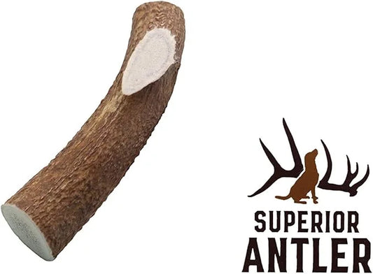 1-X Large Antler, Whole. All Natural Premium Grade A. Antler Chew. Naturally Shed, Made in The USA. Guaranteed Satisfactio...