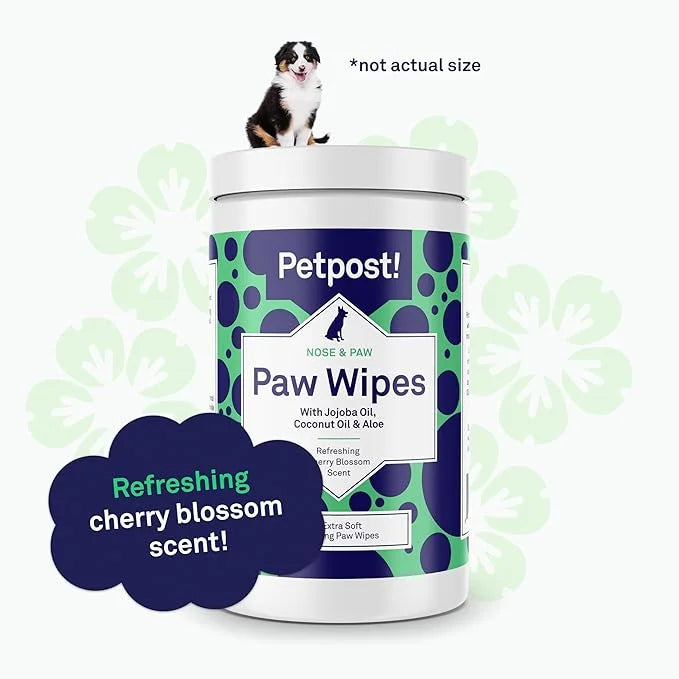 Petpost | Paw Wipes for Dogs - Nourishing, Revitalizing Dog Paw Cleaner with Coconut Oil, Jojoba Oil, and Aloe - Ultra Sof...