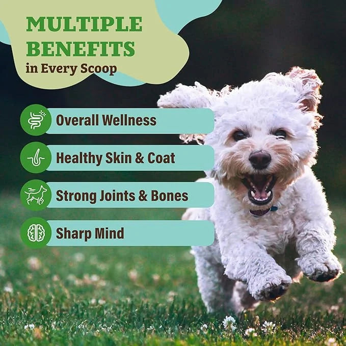 Natural Dog Company Dog Food Topper, Super Greens Dog Multivitamin Powder, Dog Vitamins and Supplements, Boost Immunity & ...