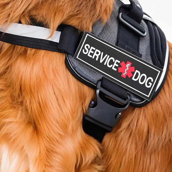 2Pcs Service Dog Patches for Harness, Removable Emotional Support Dog Vest Patches, Black in Training Dog Patch, Working D...