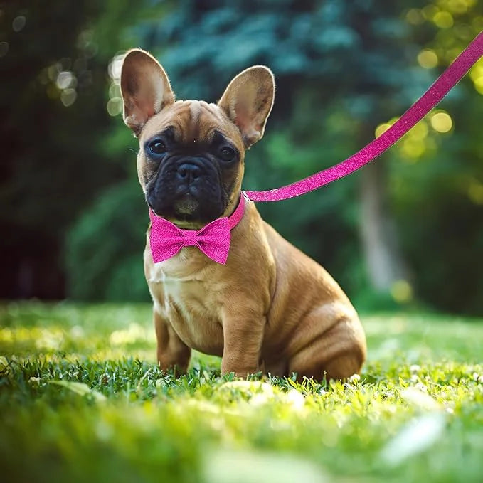 Bling Bow Tie Dog Collar and Leash Set, Cute Pink Girl Dog Collar with 5ft Leash for Small Medium Dogs Daily Walking or Ho...