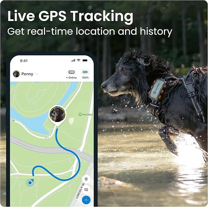 Tractive XL GPS Dog Tracker (50 lbs+) | Real-time Pet Location Tracker | Health & Wellness Alerts | Virtual Fence for Dogs...