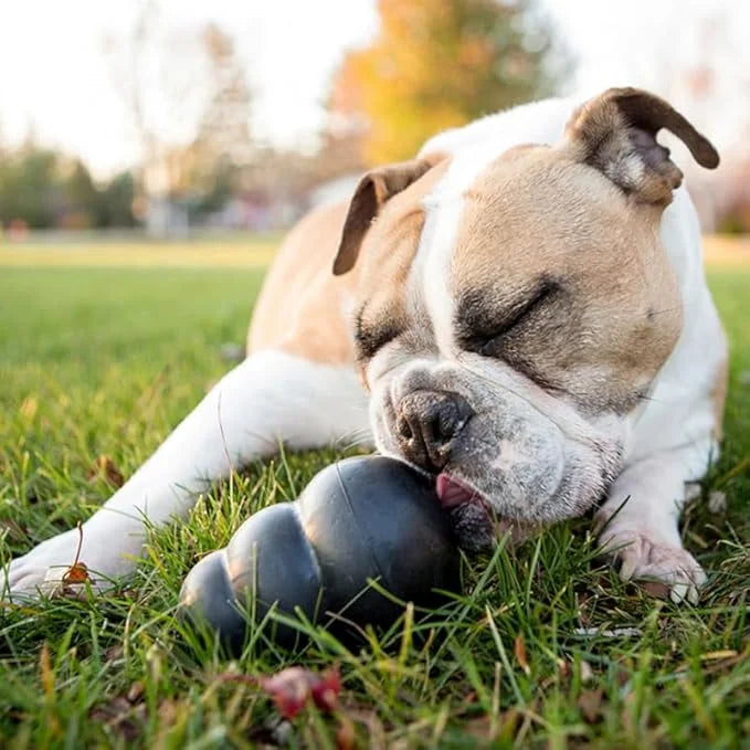 KONG Extreme Dog Toy - Fetch & Chew Toy - Treat-Filling Capabilities & Erratic Bounce for Extended Play Time Most Durable ...