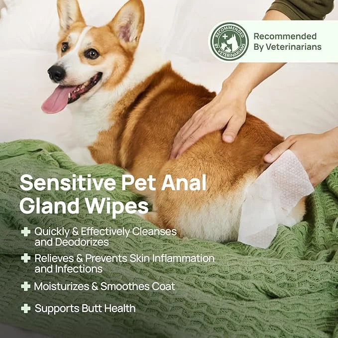 HICC PET Wipes for Dogs & Cats, Cleansing Deodorizing & Soothing Allergy Infections Anal Gland Pets Wipes with Coconut Oil...