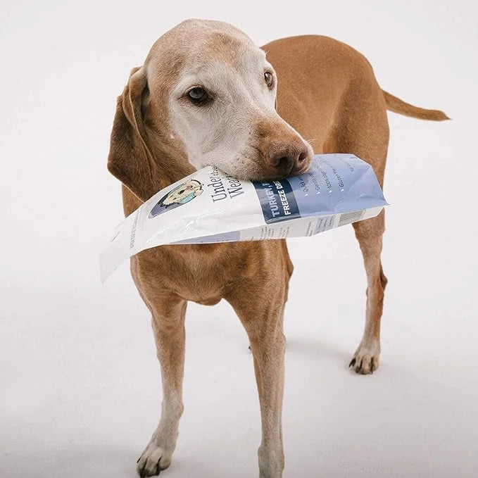 Under the Weather Bland Diet for Dogs | Easy to Digest for Sick Dogs |Always Be Ready| Contains Electrolytes - All Natural...