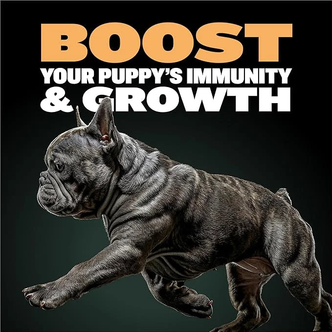 Bully Max Wet Puppy Food - Instant Fresh Dehydrated High Protein Soft Dog Food with Chicken - Healthy Growth for Small & L...