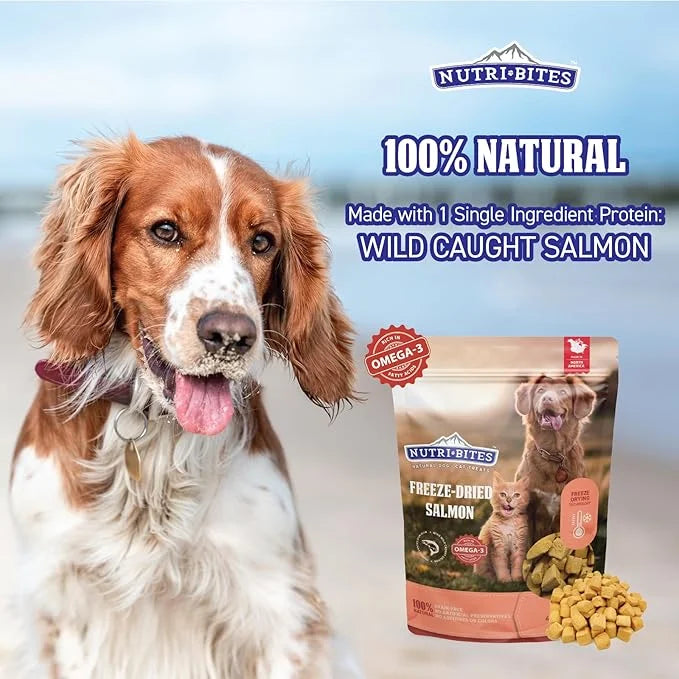 Nutri Bites Freeze Dried Salmon Dog & Cat Treats 4 oz | Healthy Pet Training Treats or Food Topper | All Natural, 1 Single...