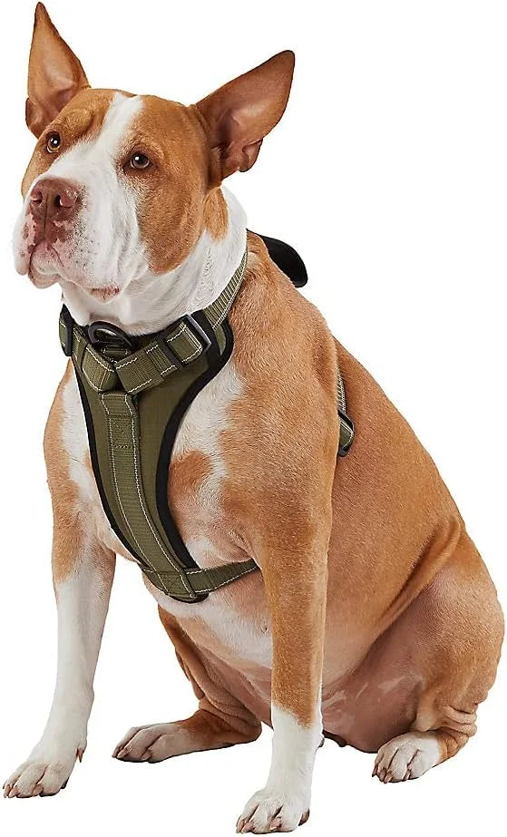 KONG Max Ultra Durable Neoprene Padded Chest Plate Dog Harness Offered by The Barker Company (Green, XL) - Product Image