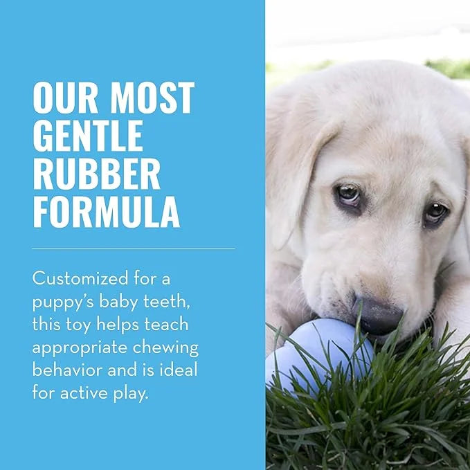 KONG Puppy - Natural Teething Rubber Chew Toy for Dogs - Stuffable Dog Toy for Extended Playtime - Chew & Fetch Toy for Pu...