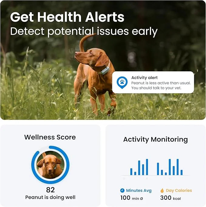 Tractive GPS Dog Tracker (2025 Release with Free 6 Month Subscription) | Real-time Pet Location Tracker | Health & Wellnes...