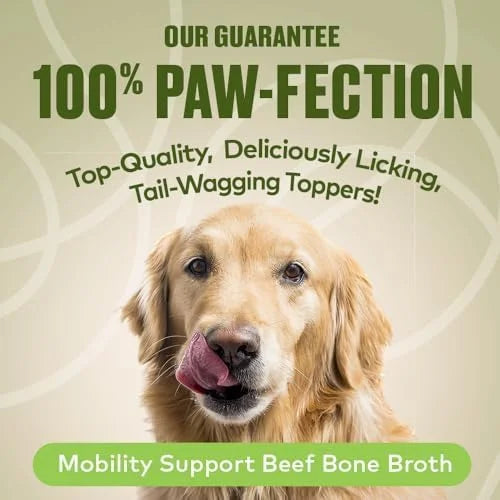 Mobility Support Beef Bone Broth for Dogs | Hip & Joint Support for Dogs | Glucosamine & Amino Acid Boosted | Human Grade ...