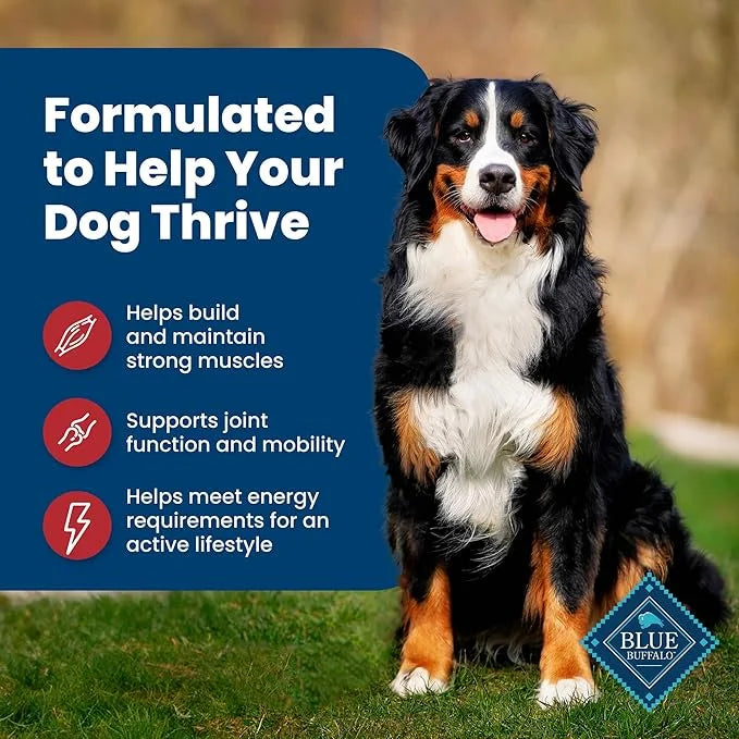Blue Buffalo Life Protection Formula Adult Dry Dog Food, Helps Build and Maintain Strong Muscles, Made with Natural Ingred...