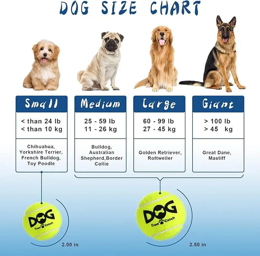 Squeaky Tennis Balls for Dogs Colorful Easy Catching Pet Toy Balls 12 Pack (2.0inch-6colors) - Product Image