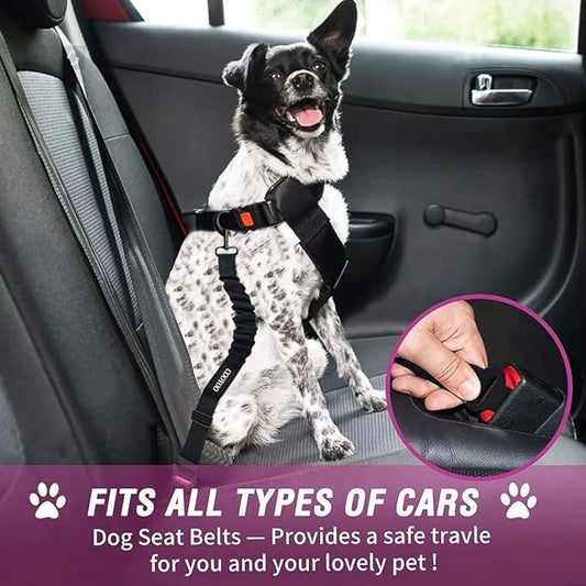 COOYOO Dog Seat Belt,3 Piece Set Retractable Dog Car Adjustable Seatbelts for Vehicle Nylon Pet Safety Heavy Duty & Elasti...