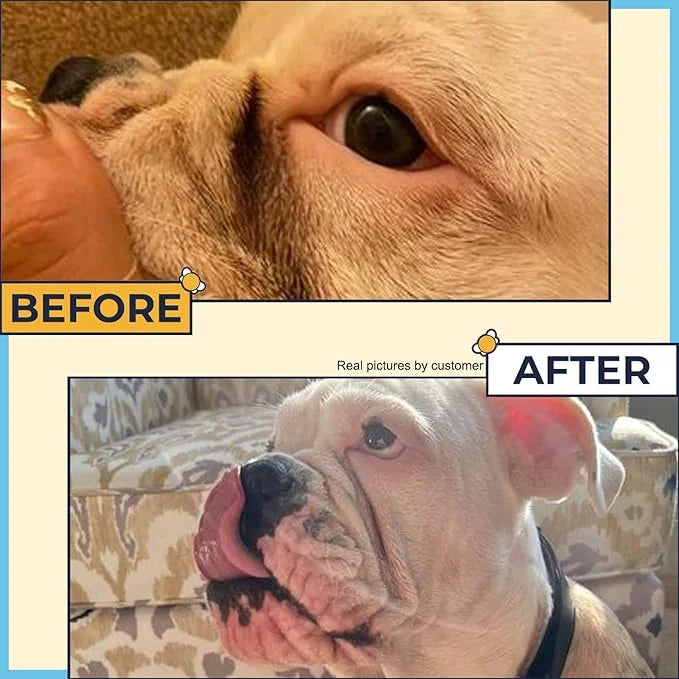 Wrinkle Paste for Bulldogs + Wrinkle Wipes French Bulldog- Wrinkle Cream for Dogs (Frenchie, English Bulldog, Pug)-Cleans ...