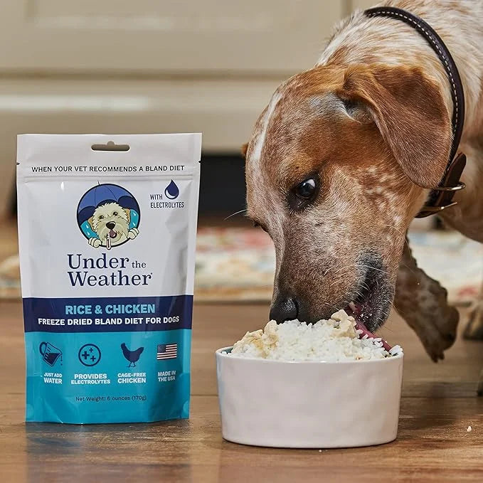 Under the Weather Bland Diet for Dogs | Easy to Digest for Sick Dogs | Always Be Ready | Contains Electrolytes - All Natur...