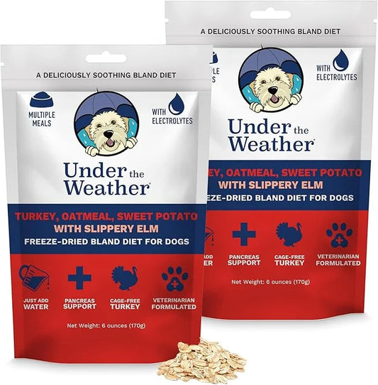 Under the Weather Bland Diet for Dogs | Easy to Digest Stomach Support for Sick Dogs | Contains Electrolytes, All Natural ...