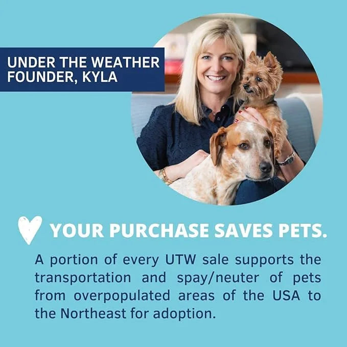 Under the Weather Bland Diet for Dogs | Easy to Digest for Sick Dogs |Always Be Ready | Contains Electrolytes - All Natura...