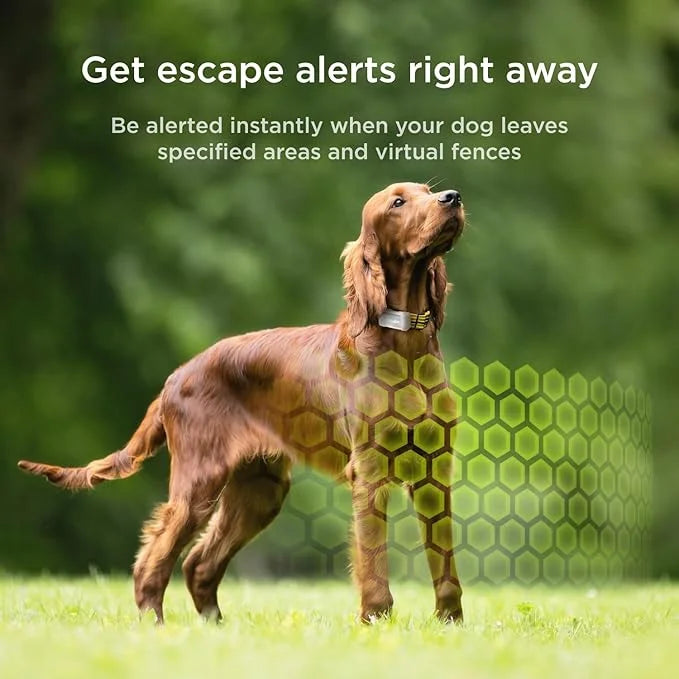Petcube GPS Tracker for Dogs | Pet GPS Location Tracker with Escape Alerts and Virtual Fences, Activity and Wellness Monit...