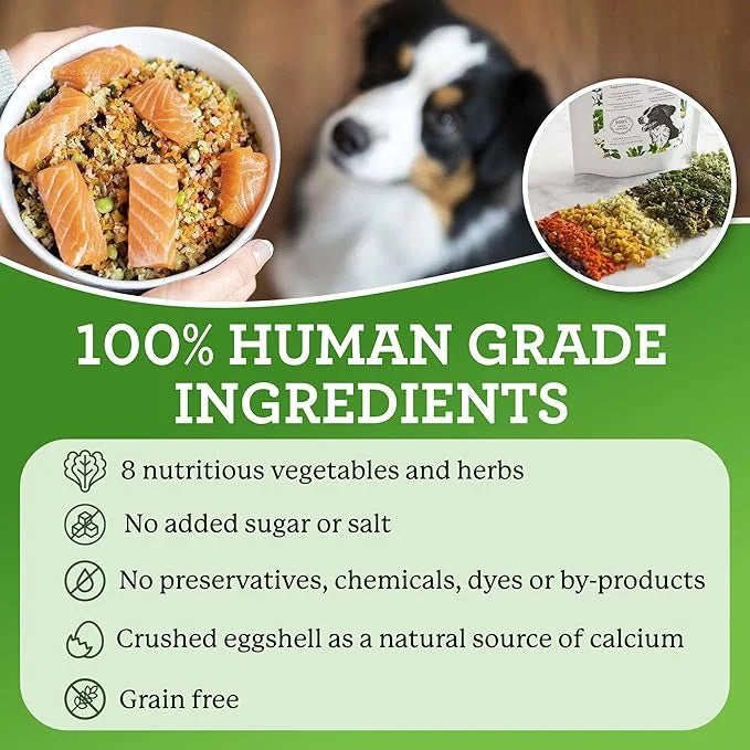 Dr. Harvey's Veg-to-Bowl Dog Food, Human Grade Dehydrated Base Mix for Dogs, Grain Free Holistic Mix (3 Pound) - Product I...