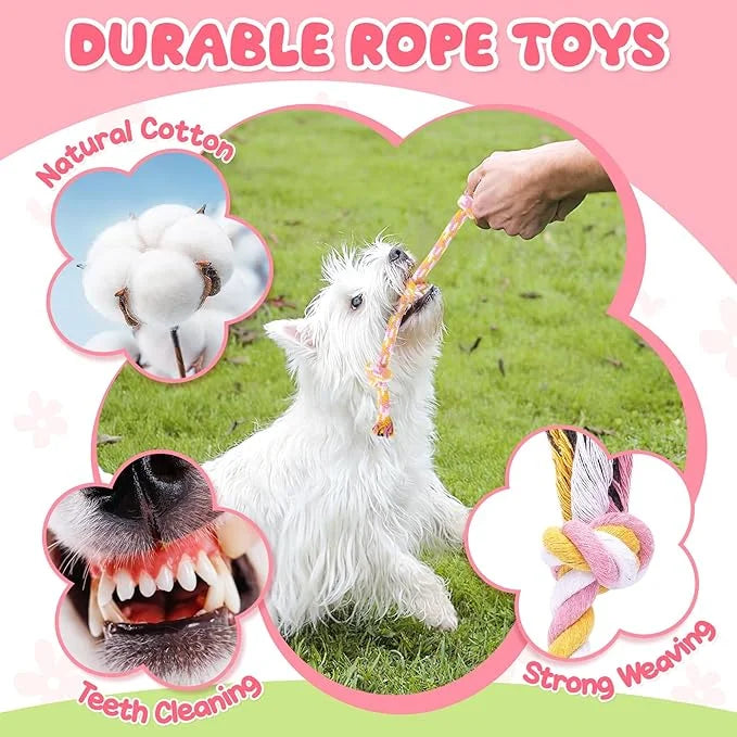 Zeaxuie Pink Puppy Toys for Teething, 9 Pack Small Dog Toys with Cute Puppy Chew Toys, Squeaky Crinkle Dog Toys, Treat Bal...