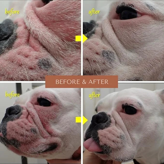 Wrinkle Wipes for Dogs | Bulldog, French Bulldog, Pug, English Bulldog | Cleans & Soothes Wrinkles, Folds, Tear Stain, Tai...